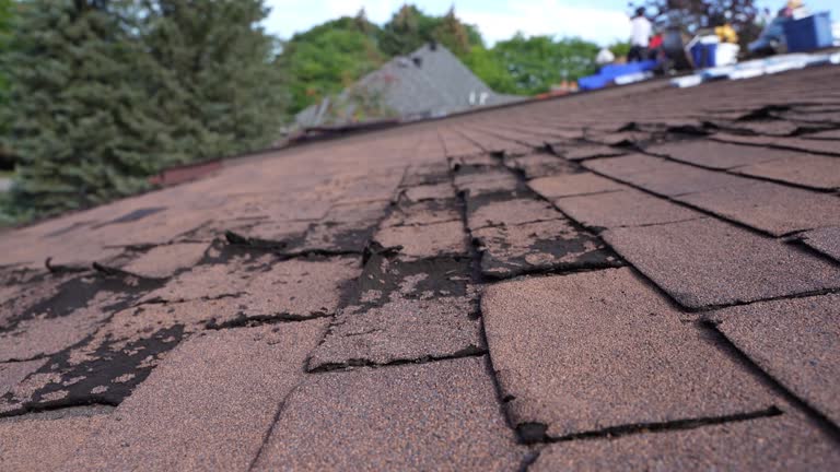 Best Sheet Metal Roofing  in Morrow, GA