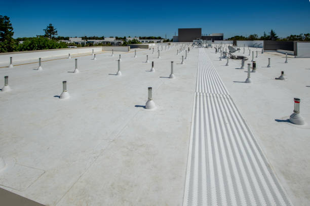 Best Roof Maintenance and Cleaning  in Morrow, GA